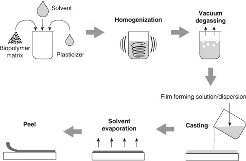 Schematic of film casting procedure