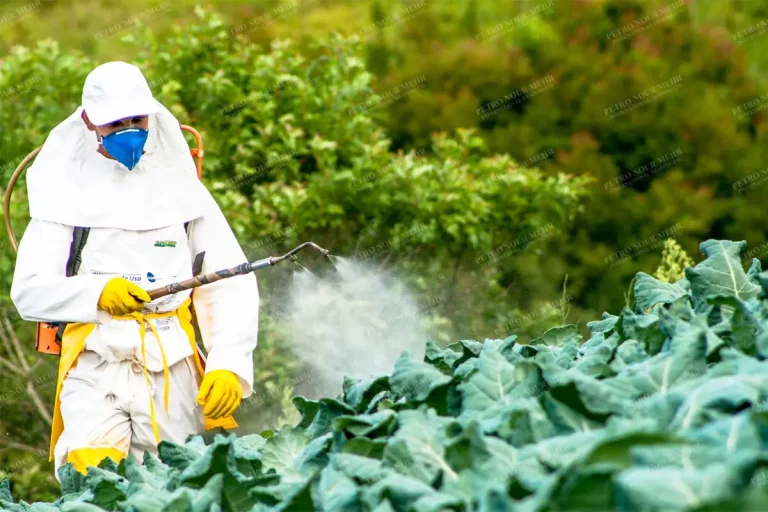 Agriculture