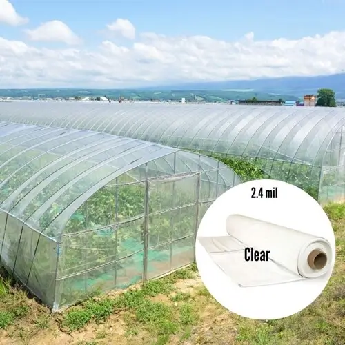 Greenhouse Films