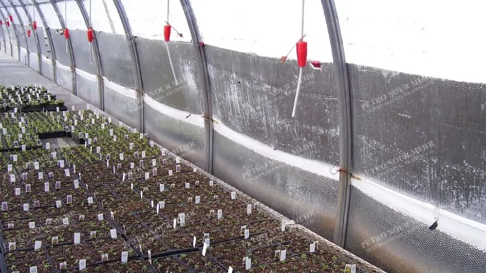 Greenhouses